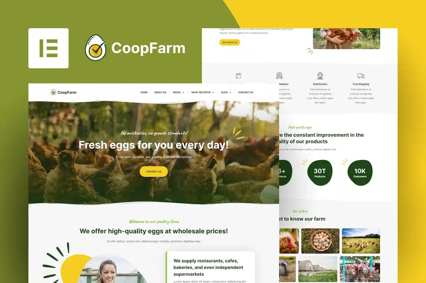 Coopfarm Poultry Farm Elementor Template Kit