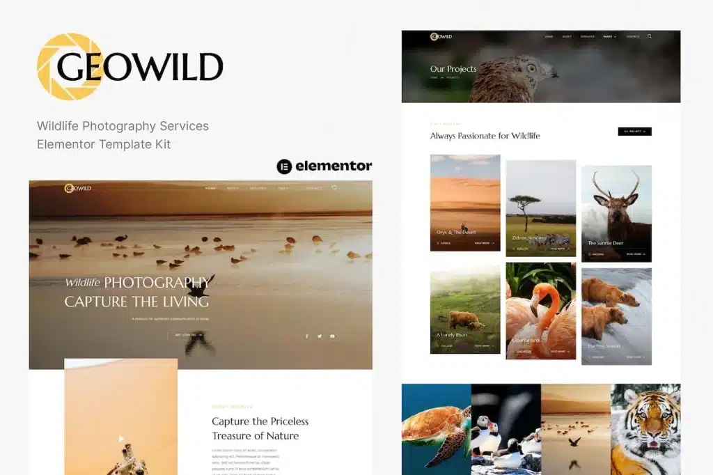 Geowild Wildlife Photography Services Elementor Template Kit