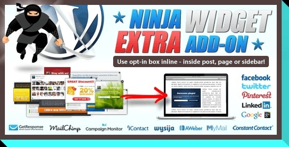 Ninja Widget
