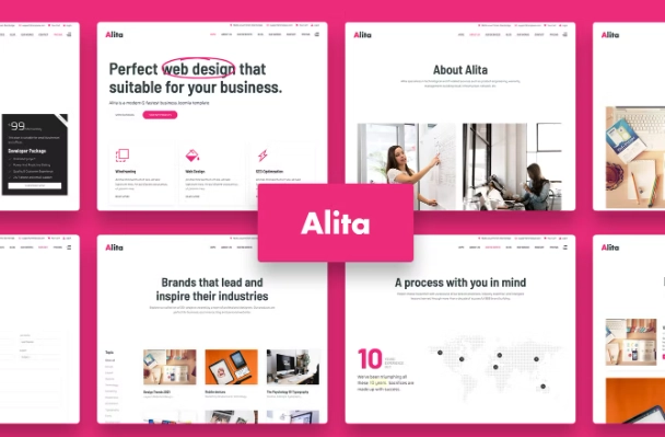 Alita – Web Studio WordPress Theme