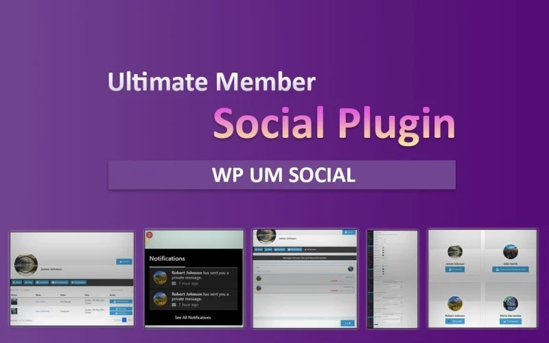 WP UM Social