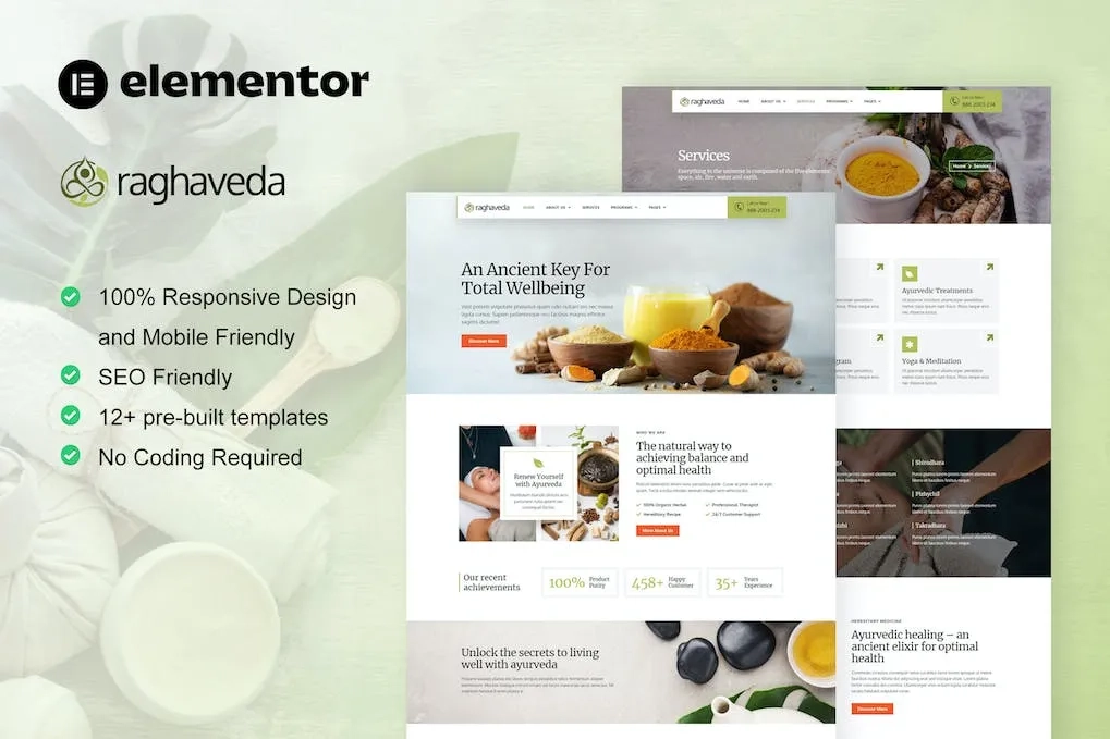 Raghaveda – Ayurveda Treatment & Spa Elementor Template