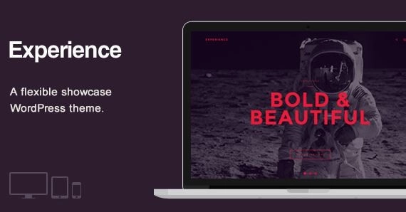 Experience – Showcase WordPress Theme