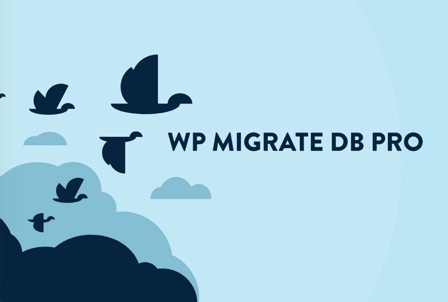 WP Migrate DB Pro CLI