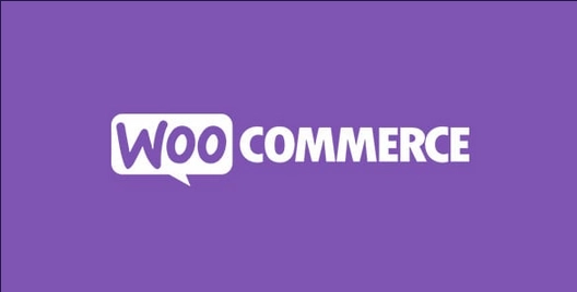WooCommerce Product Add-Ons Ultimate Text Preview