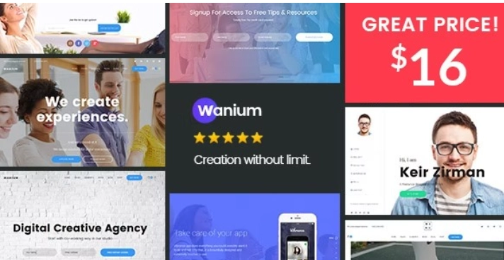 Wanium – A Elegant Multi-Concept Theme