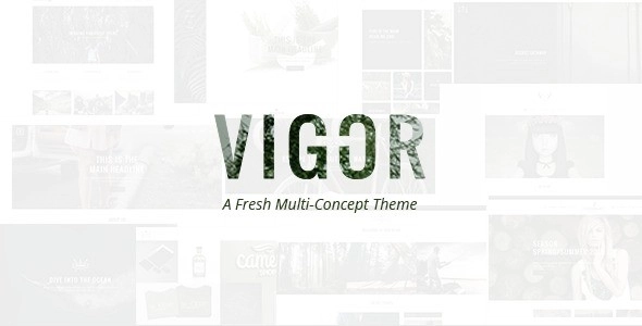 Vigor – Vintage WordPress Theme