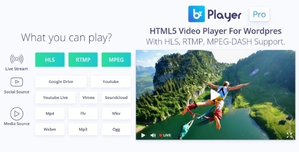 bzplayer Pro - Live Streaming Player