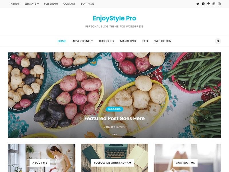 WP Enjoy – EnjoyStyle Pro