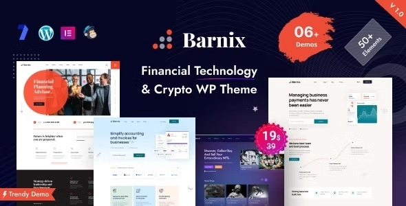 Barnix – Finance Consulting