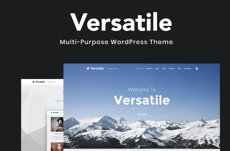 Versatile – Multi-purpose WordPress Theme