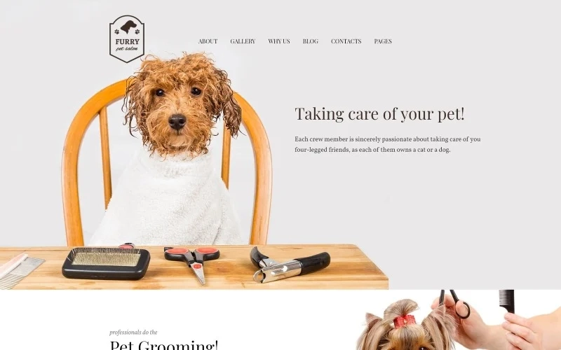 Furry – Pet Grooming WordPress Theme