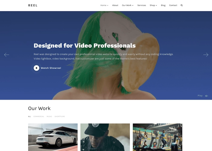 WPZOOM – Reel