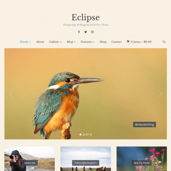 WPZOOM – Eclipse