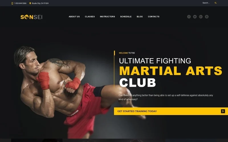 Sensei – Martial Arts WordPress Theme