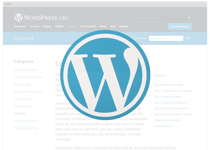 [MISC V10] - WordPress Network Theme Update