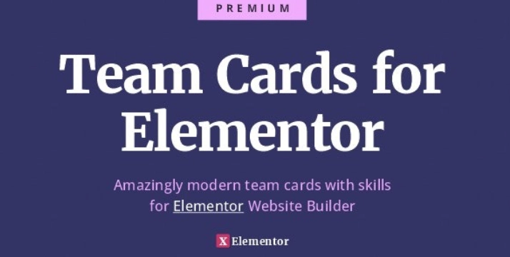 Team Cards for Elementor – Ultimate Team and Skills Widget Cards 1.0.0
