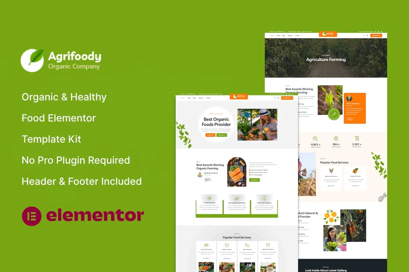 Agrifoody – Organic & Healthy Food Elementor Template