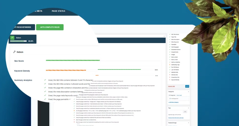 smart SEO - Wordpress plugin