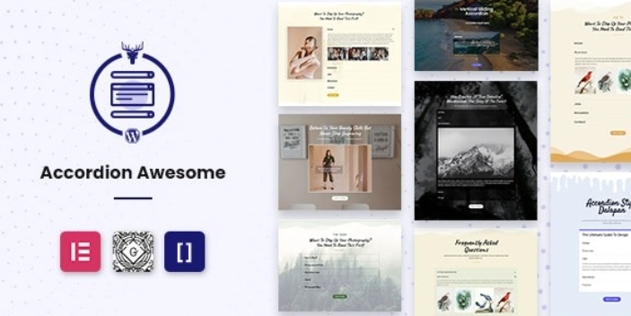 Accordion Awesome Pro