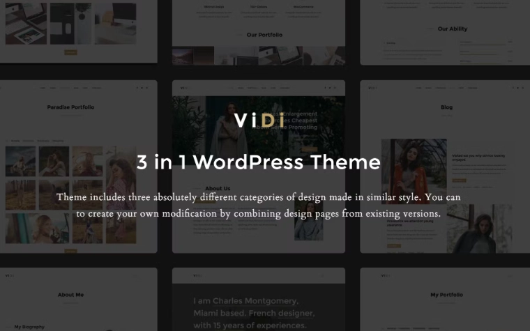 ViDi – 3 in 1 Creative WordPress Theme