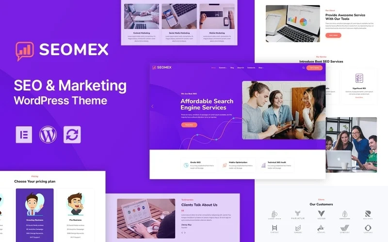 SEOMEX – SEO Agency & Online Marketing WordPress Theme