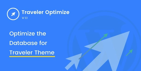 Traveler  Optimize