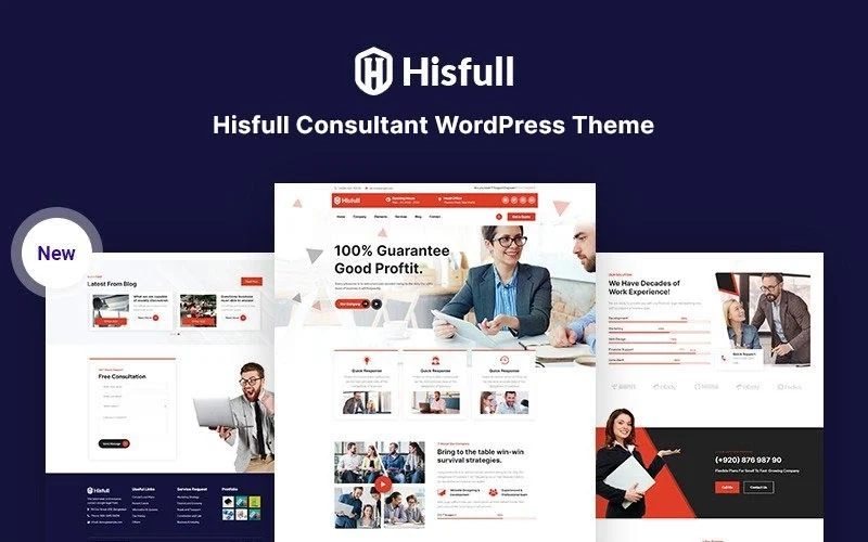 Hisfull – Consultant Responsive WordPress Theme