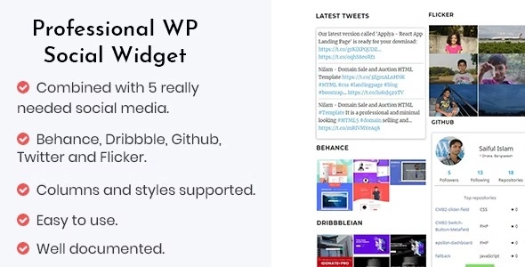 Professional - WP social widget