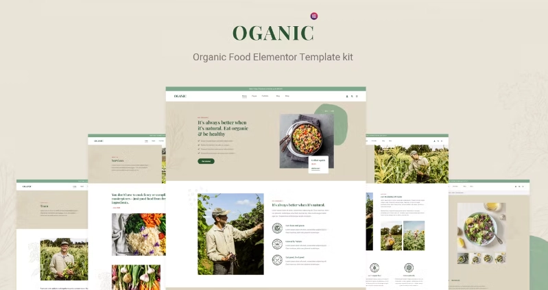 Oganic – Organic Food Elementor Template