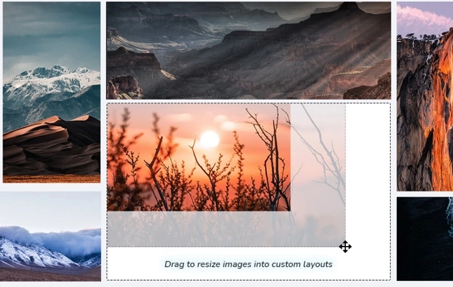 Your Gallery Name