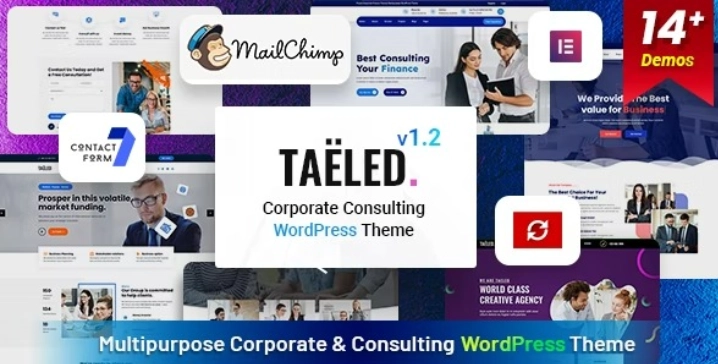 TAELED – Business Consulting