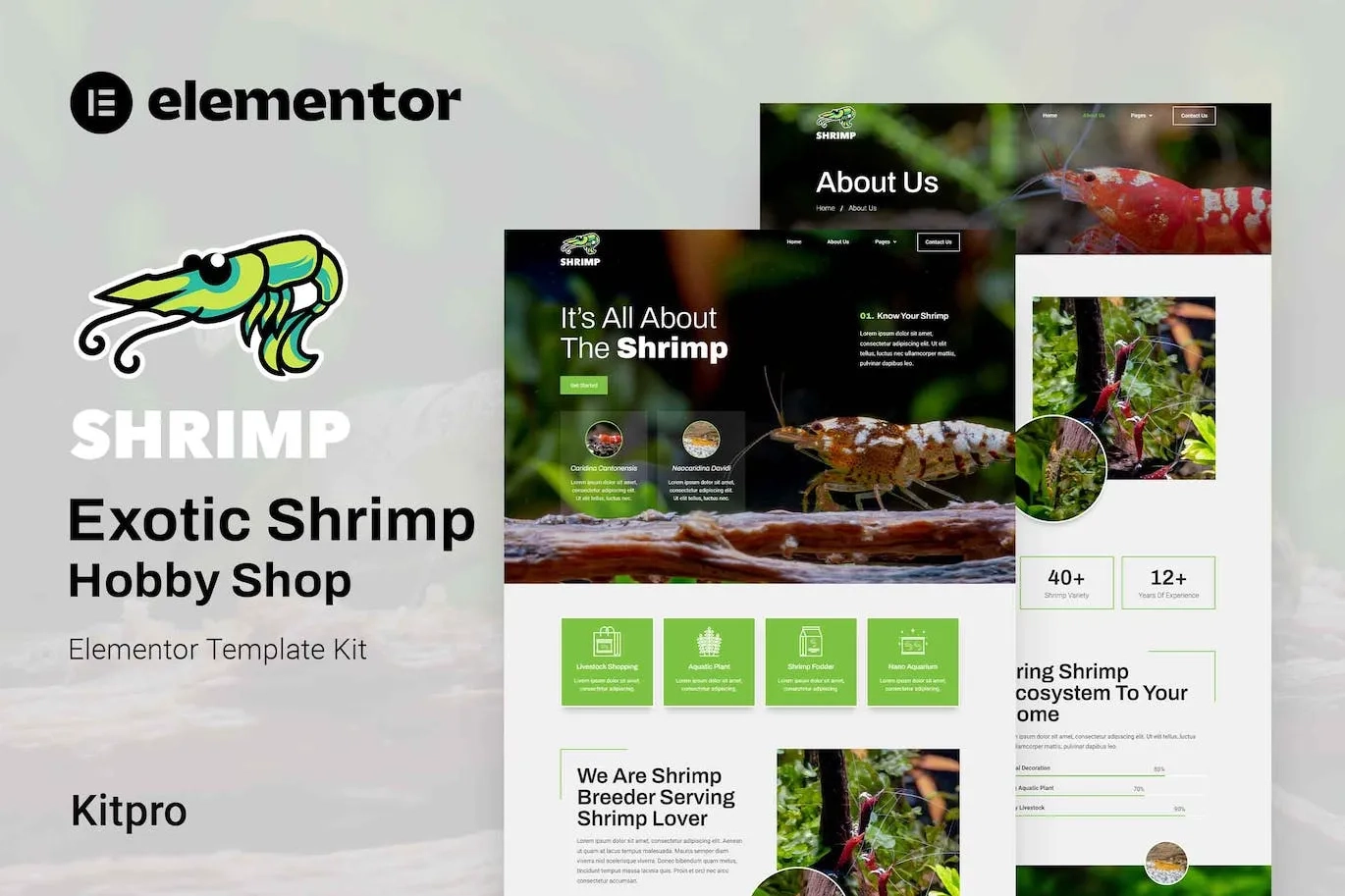 Shrimp – Aquarium & Hobby Shop Elementor Template