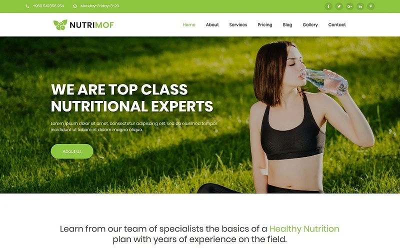 Nutrimof – Nutritional & Health WordPress Theme