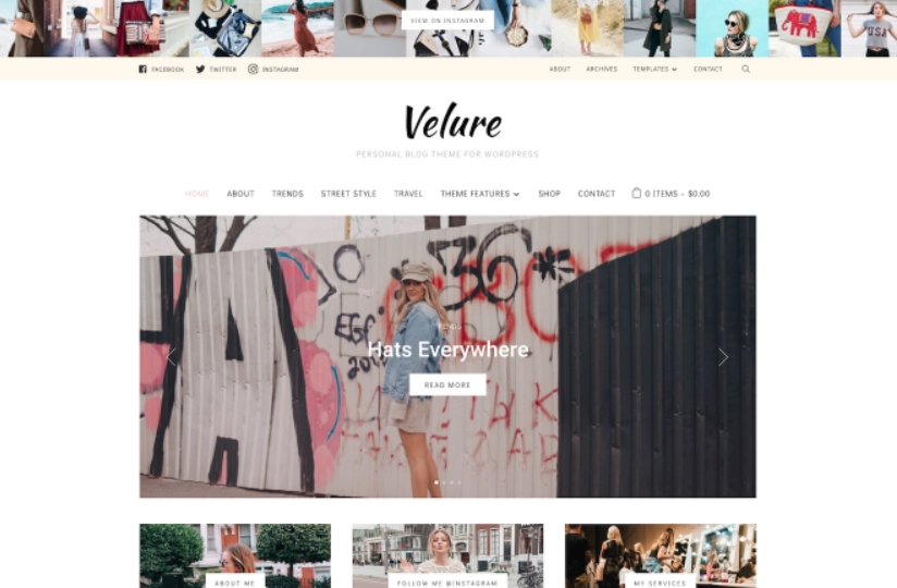 WPZOOM – Velure
