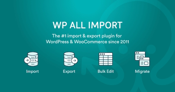 WP All Import - Toolset Types Add-On Pro