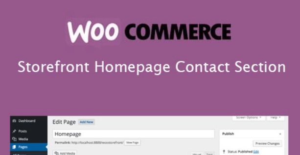Storefront Homepage Contact Section