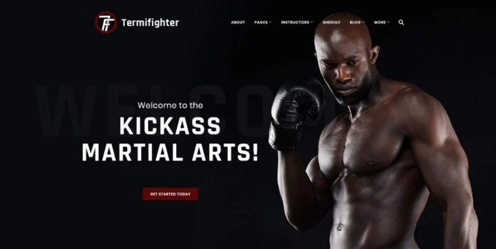 Termifighter – Martial Arts Club Responsive WordPress Theme