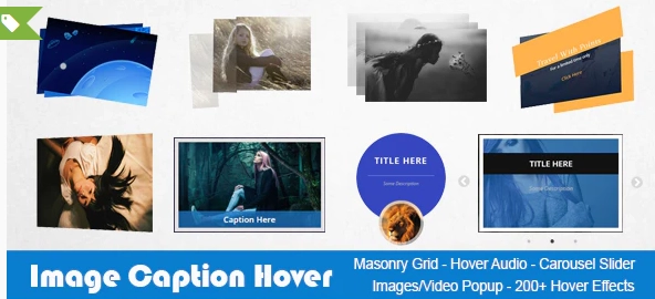 Image Caption Hover Pro