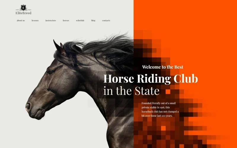 Elite Breed – Equestrian & Horse Riding Club WordPress Theme