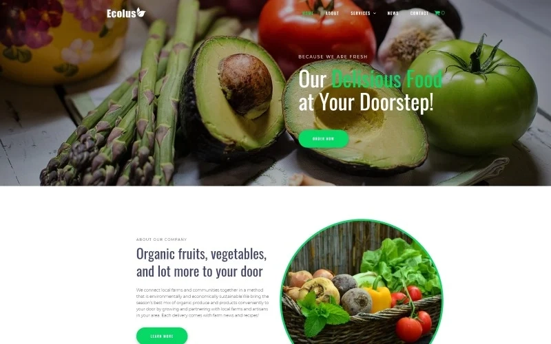 Ecolus – Organic Food Delivery ECommerce Modern WordPress Elementor Theme WordPress Theme