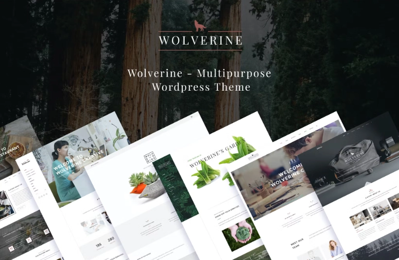 Wolverine – Responsive Multi-Purpose Theme