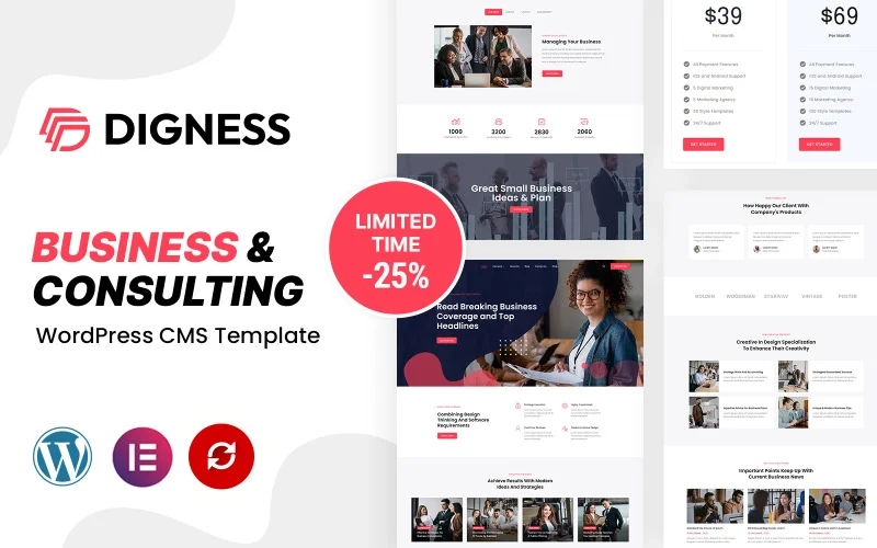 Digness – Consulting Business WordPress Theme