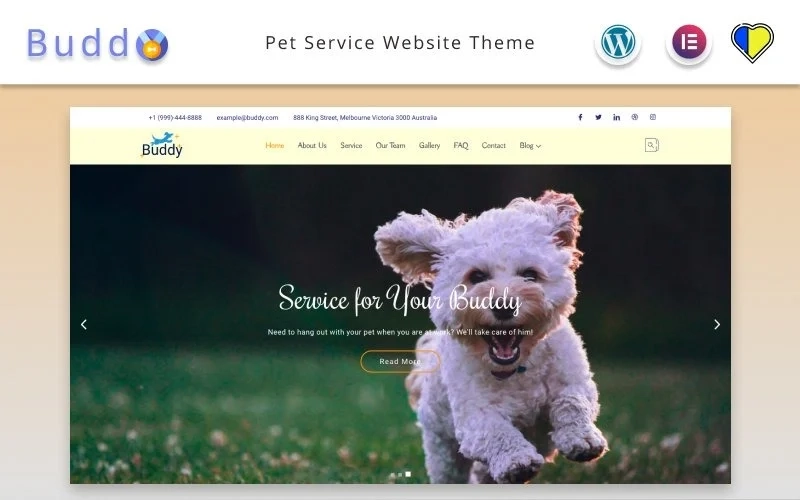 Buddy – Pet Service Website Elementor WordPress theme WordPress Theme