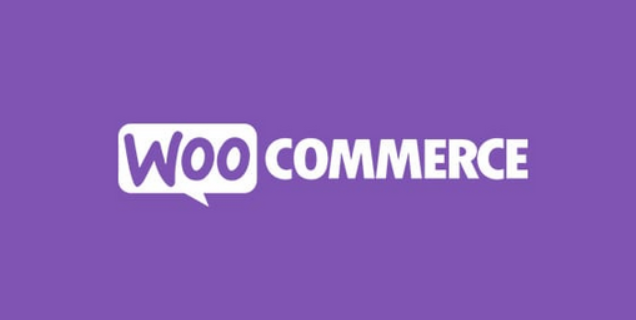 XML for Google Merchant Center  by WpDesk 1.9.10