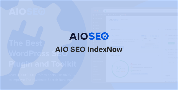 AIO SEO IndexNow Addon